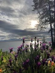 Salish 7